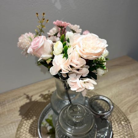 Apartman Nino 诺维格勒达尔马提亚 外观 照片